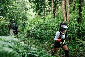 BIB: 
                            <button type="button" onclick="openModal(26404626)" class="btn btn-primary btn-sm float-right btn-popup" data-toggle="modal" data-target=".modal-high-quality">
                        <i class="fas fa-shopping-cart"></i> Add to Cart
                    </button>
                                            <button type="button" onclick="isThisMe(26404626, true)" class="btn btn-success btn-sm float-right btn-popup btn-isme hidden" data-toggle="tooltip" data-placement="bottom" title="นี่คือรูปของคุณใช่ไหม คลิกที่นี่เพื่อเอาเข้าอัลบั้ม">
                        <i class="fas fa-plus"></i> Add to album
                    </button>
                    <button type="button" onclick="isThisMe(26404626, false)" class="btn btn-warning btn-sm float-right btn-popup btn-isnotme hidden">
                        <i class="fas fa-ban"></i> Remove from album
                    </button>